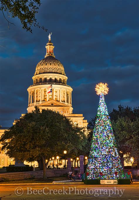 Follow the Texas State Capitol Christmas tree's journey to its new home